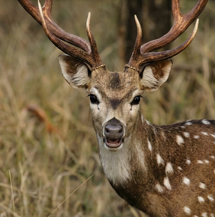 Package Tour 2 Nights 3 Days